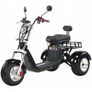 Elektrinis triratis čioperis motoroleris citycoco MX-4000w 